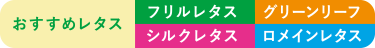 おすすめレタス フリルレタス グリーンリーフ シルクレタス ロメインレタス